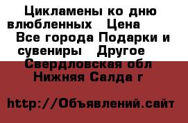 Цикламены ко дню влюбленных › Цена ­ 180 - Все города Подарки и сувениры » Другое   . Свердловская обл.,Нижняя Салда г.